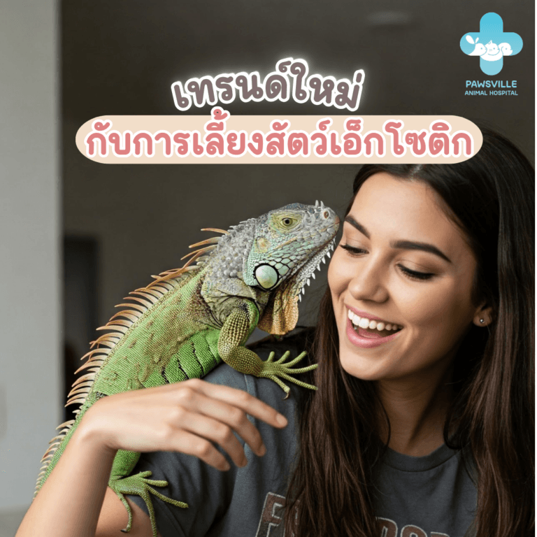 เทรนต์ใหม่กับการเลี้ยงสัตว์เอ็กโซติก