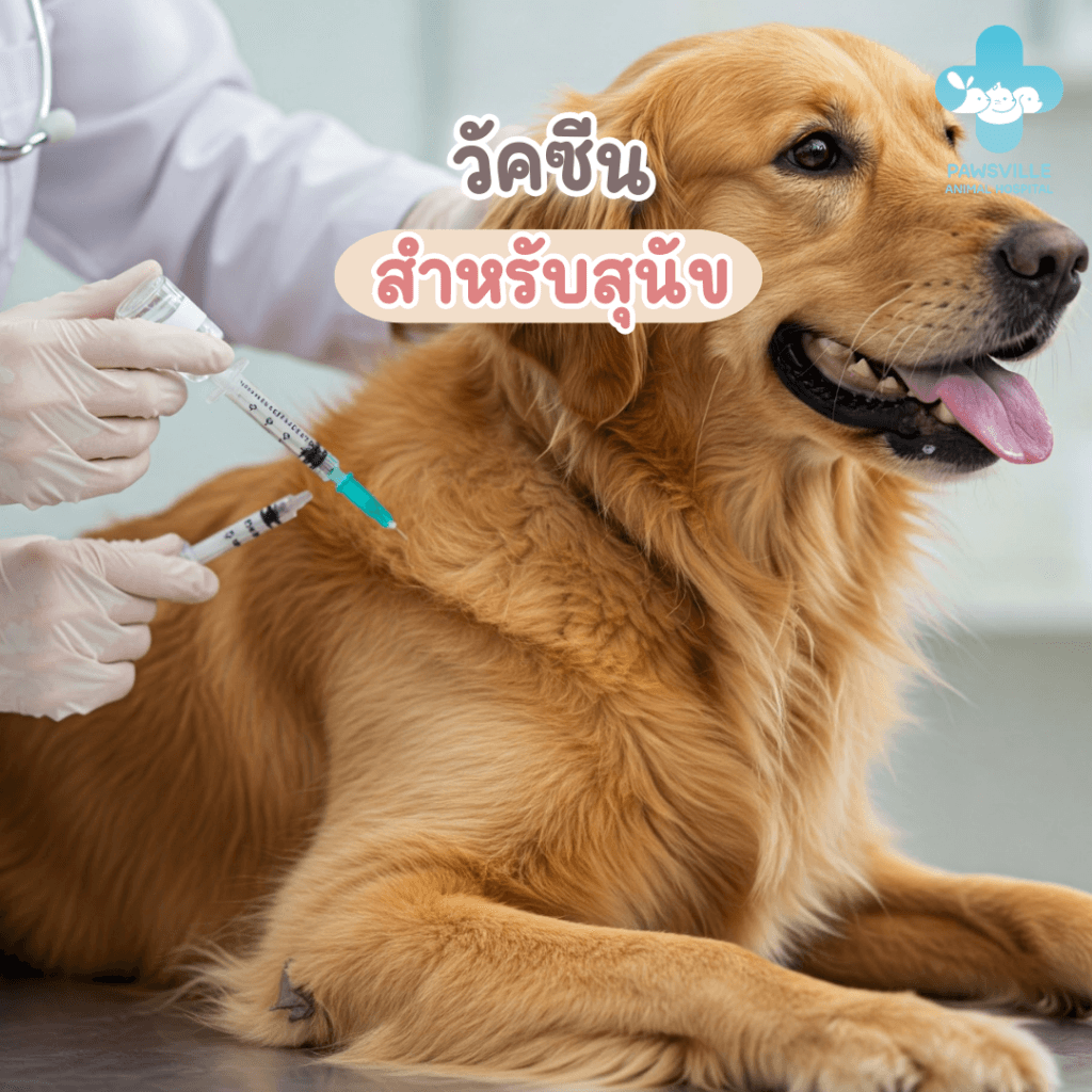 วัคซีนสำหรับสุนัข