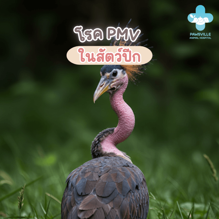โรค PMV ในนก