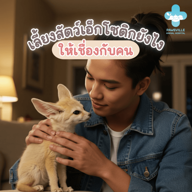 การเลี้ยงสัตว์เอ็กโซติกให้เกิดความเชื่องกับคน