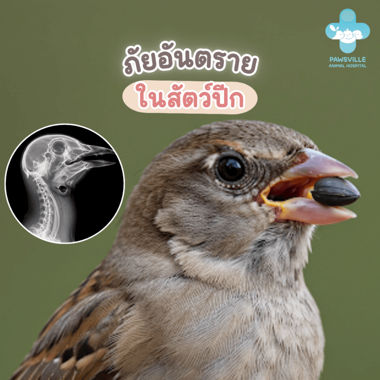 ภัยอันตรายในสัตว์ปีก