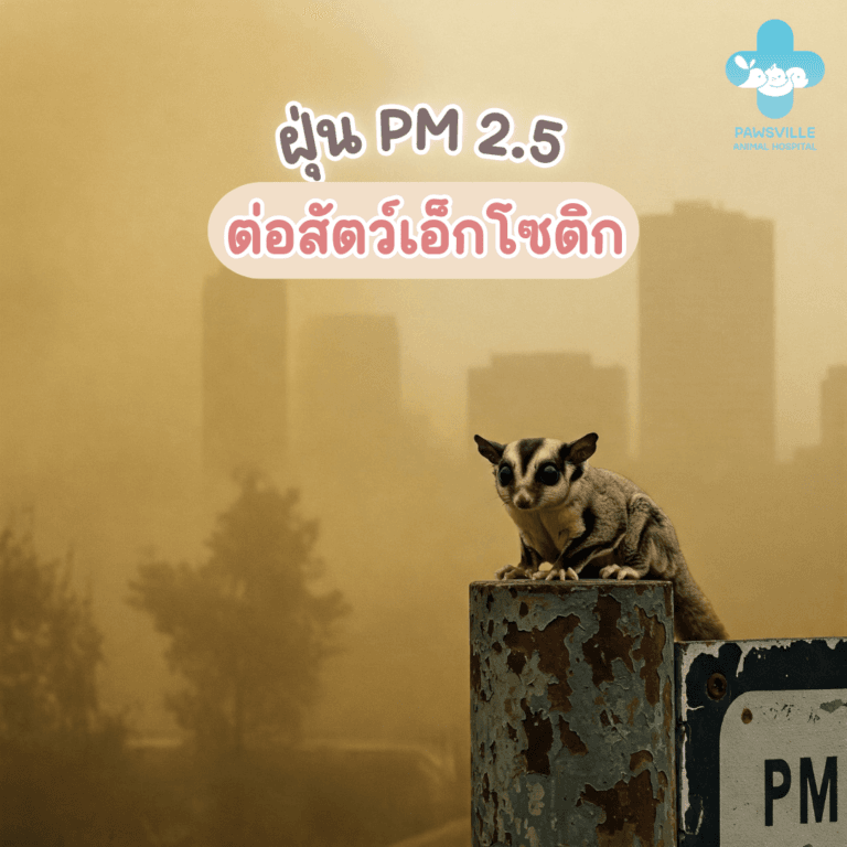 ฝุ่น PM 2.5 ต่อสัตว์เอ็กโซติก
